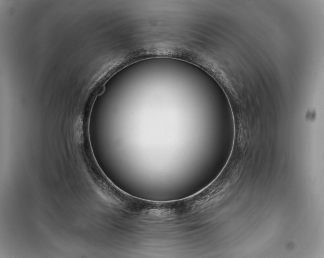 X0000100370251200806131044