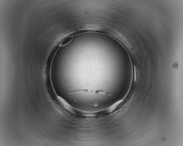 X0000100370252200806131044