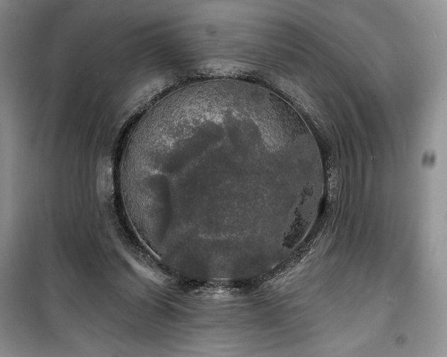 X0000100370254200806131044