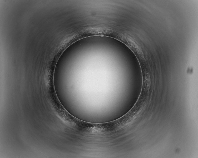 X0000100370255200806131044