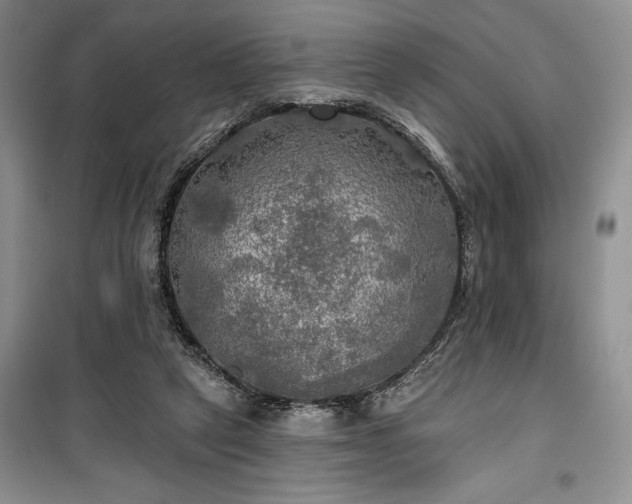 X0000100370257200806131044