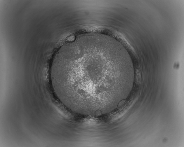 X0000100370259200806131044