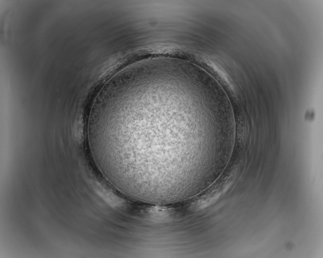 X0000100370261200806131044