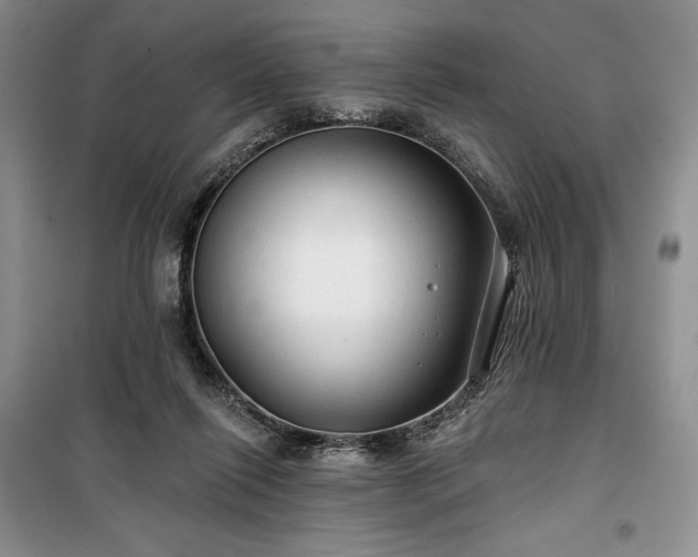 X0000100370262200806131044