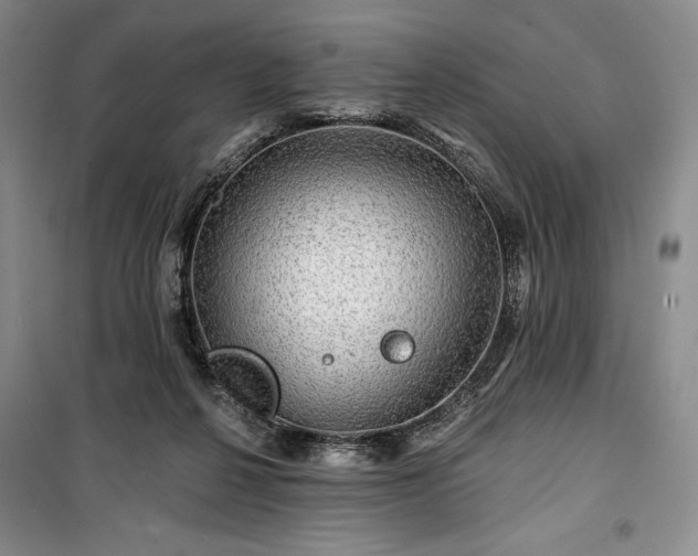 X0000100370264200806131044