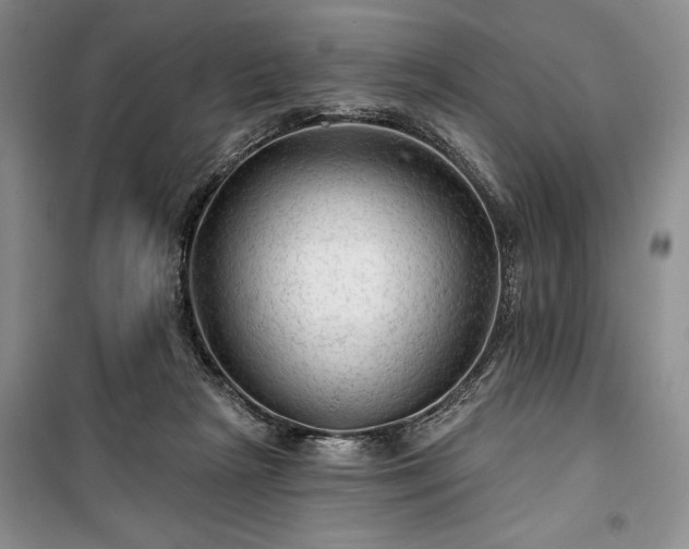 X0000100370265200806131044