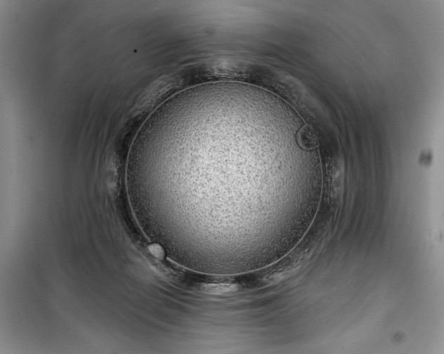 X0000100370266200806131044