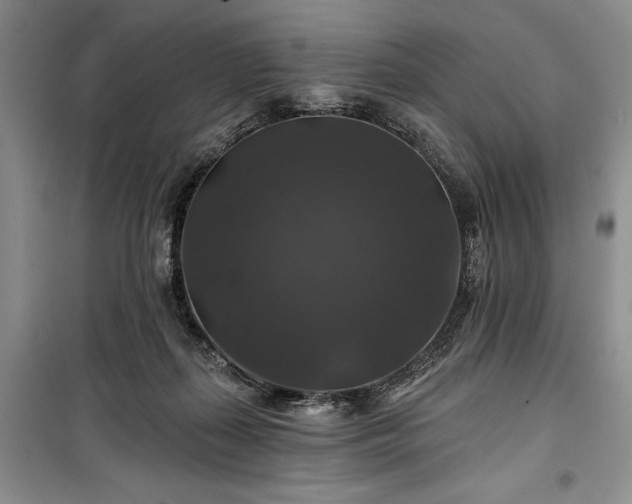 X0000100370267200806131044