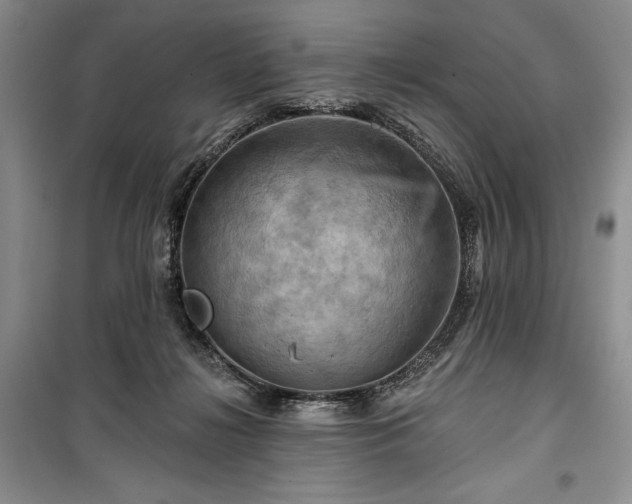 X0000100370268200806131044