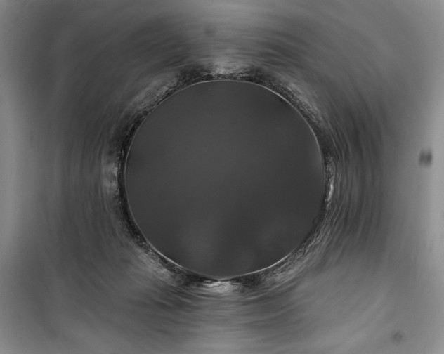 X0000100370269200806131044