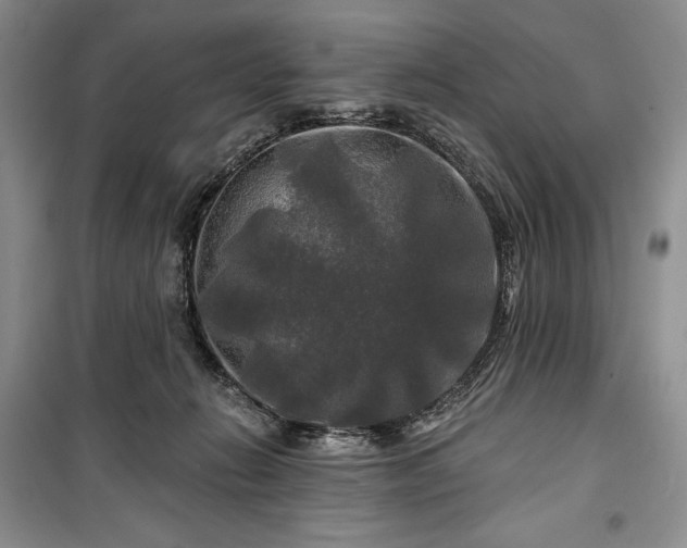 X0000100370270200806131044