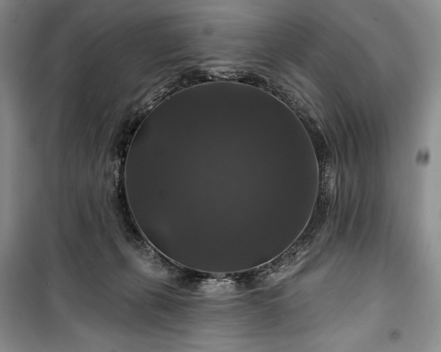 X0000100370271200806131044