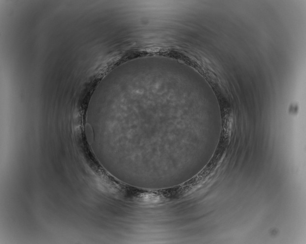 X0000100370272200806131044