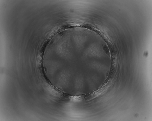 X0000100370273200806131044