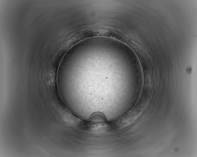 X0000100370274200806131044