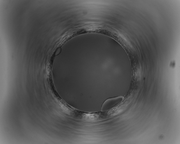 X0000100370277200806131044