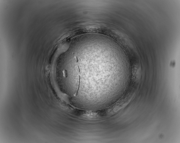 X0000100370278200806131044