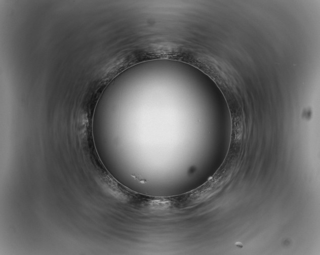 X0000100370279200806131044