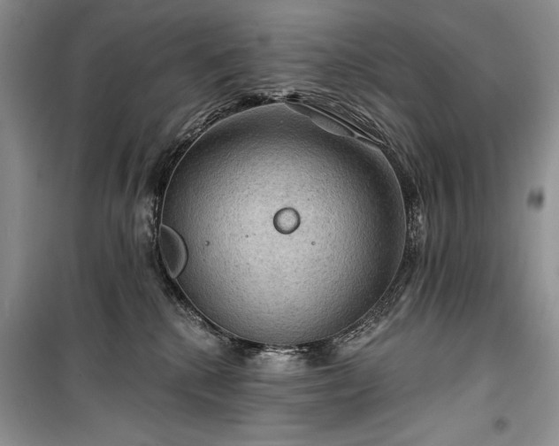 X0000100370280200806131044