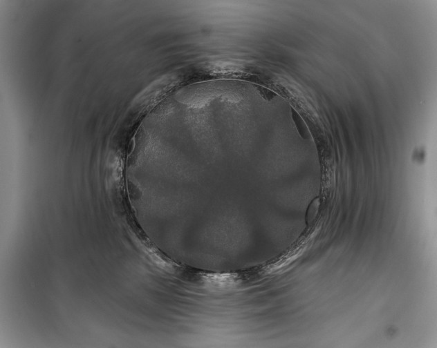 X0000100370281200806131044