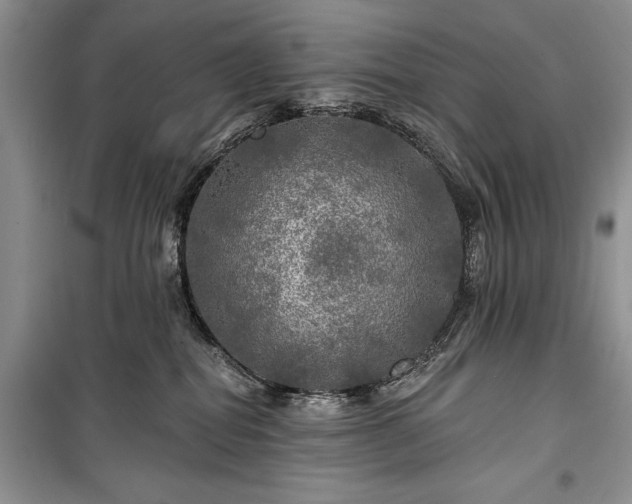 X0000100370282200806131044