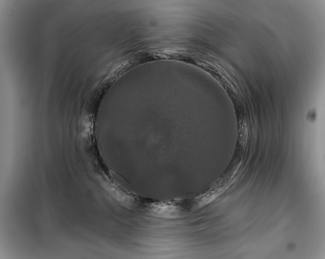 X0000100370284200806131044