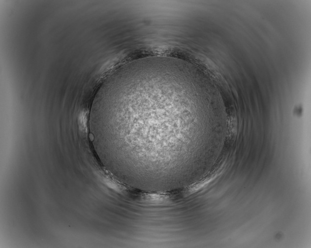 X0000100370286200806131044