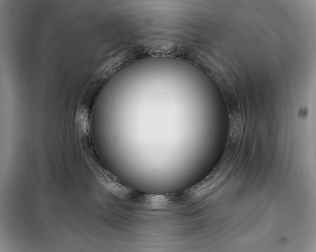 X0000100370287200806131044