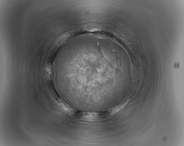 X0000100370288200806131044