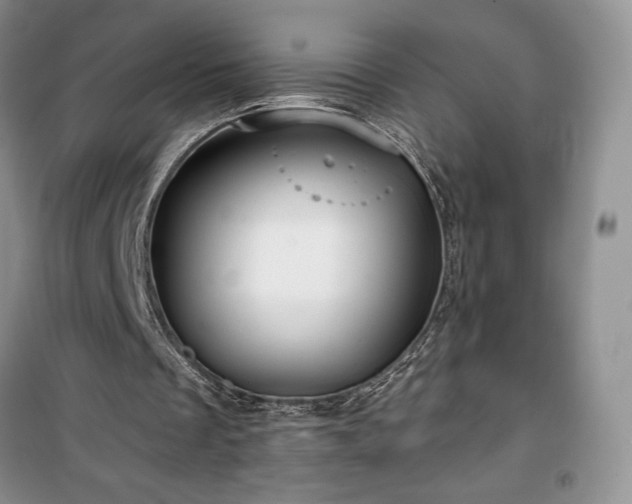 X0000100370289200806131044