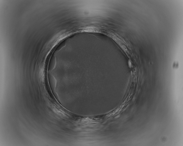 X0000100370290200806131044