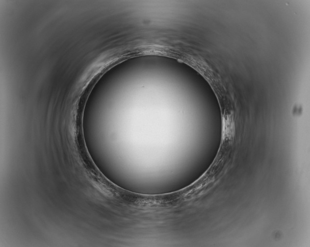 X0000100370291200806131044