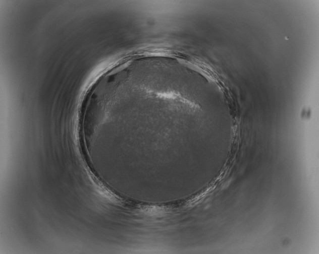 X0000100370293200806131043