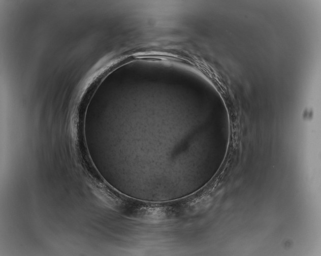 X0000100370295200806131043