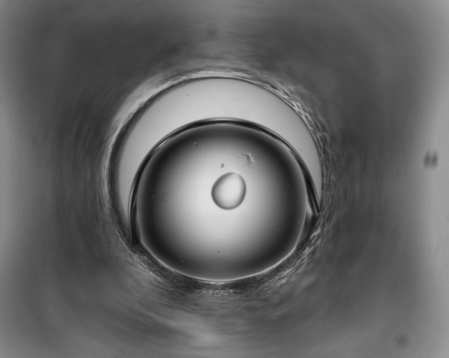 X0000100370296200806131043