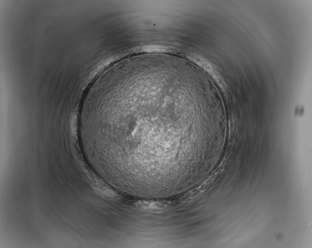 X0000100370297200806131043