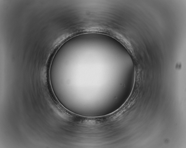 X0000100370298200806131043