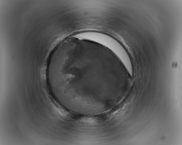 X0000100370299200806131043