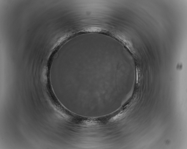 X0000100370300200806131043