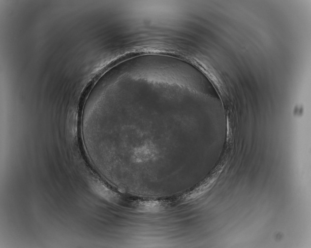 X0000100370301200806131043