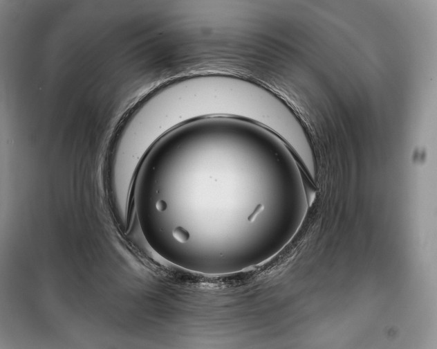 X0000100370302200806131043