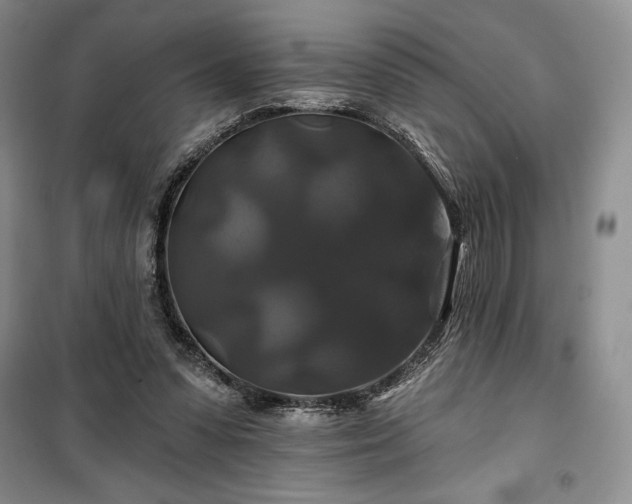 X0000100370303200806131043