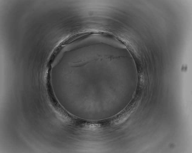 X0000100370304200806131043