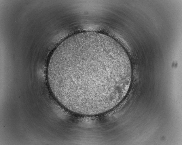 X0000100370305200806131043