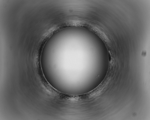 X0000100370306200806131043