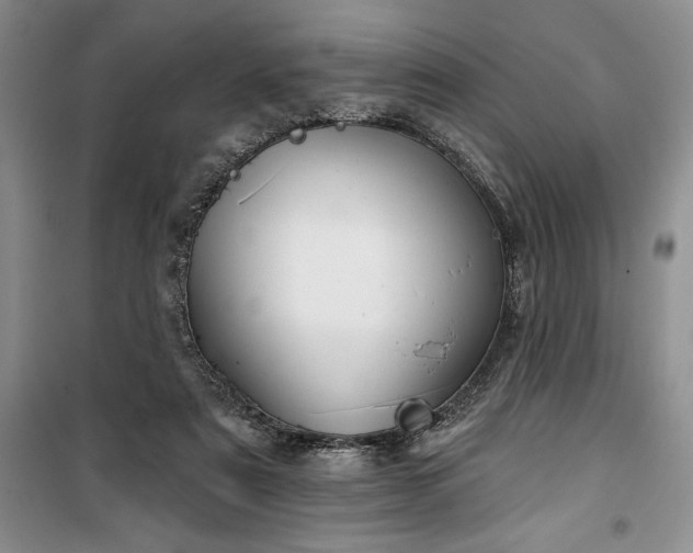 X0000100370307200806131043