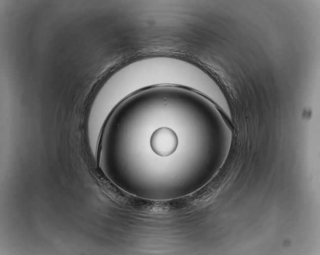 X0000100370308200806131043