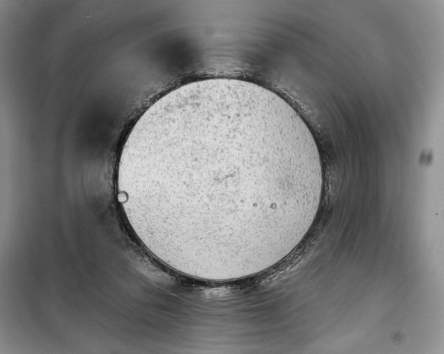 X0000100370309200806131043