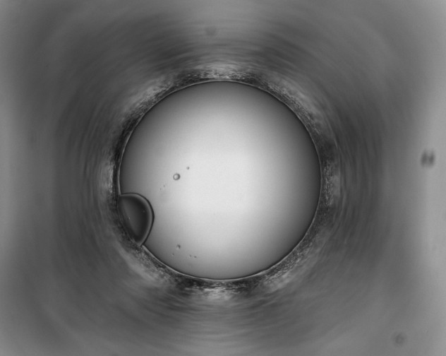 X0000100370310200806131043