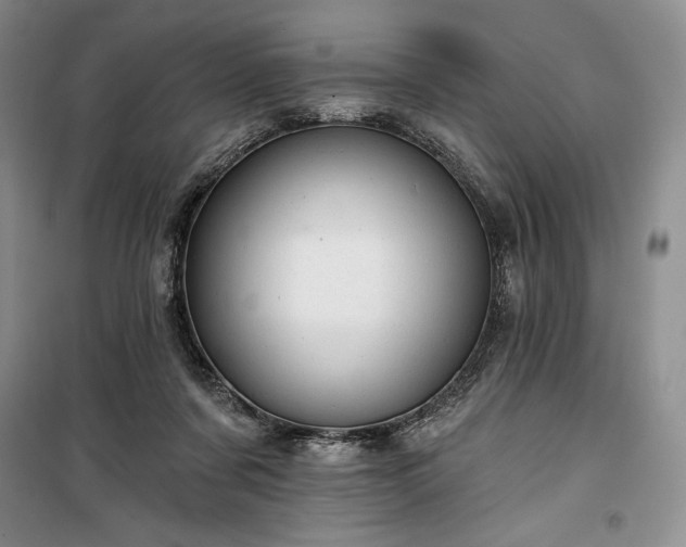 X0000100370311200806131043